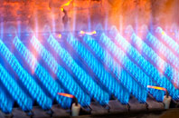 Burton Fleming gas fired boilers